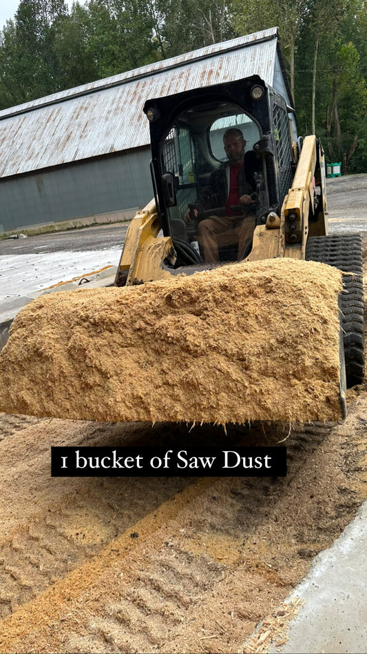 Saw Dust