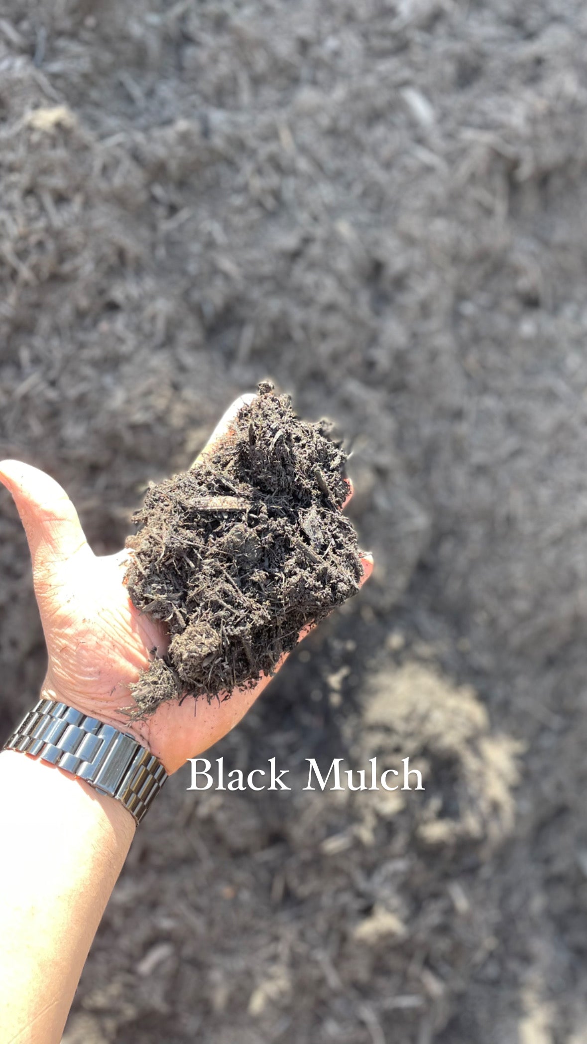 Black Mulch