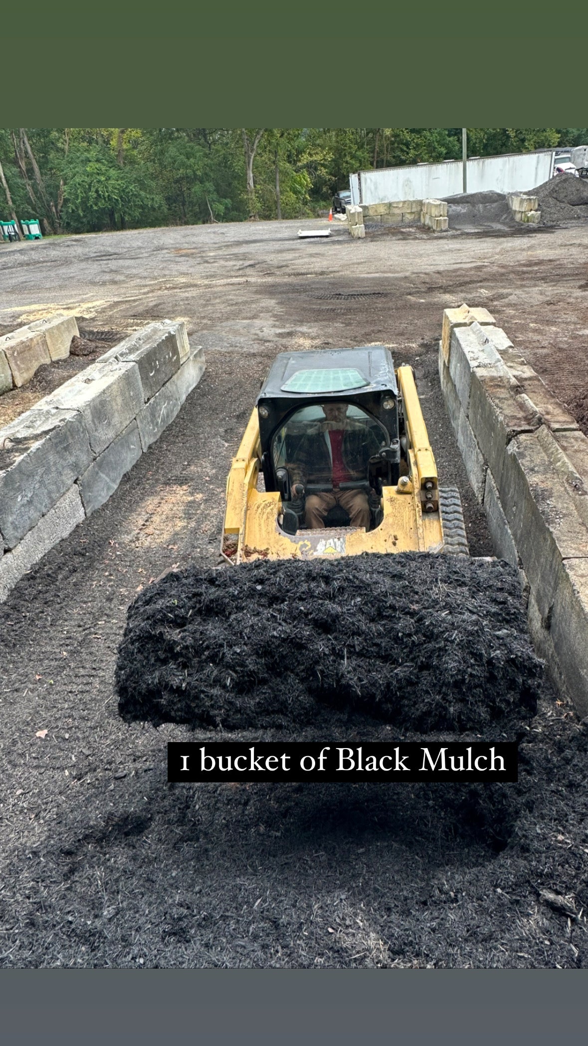 Black Mulch